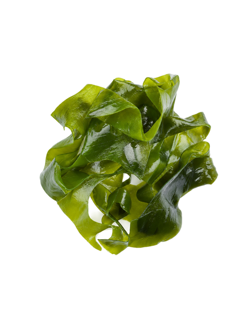 Algae-Derived Vitamin D3